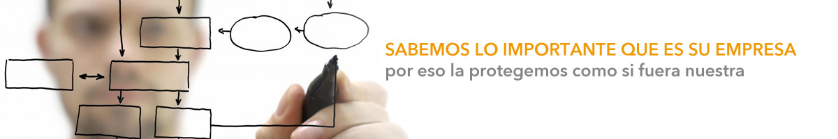 MGSP.com.mx Security Services - Análisis de Riesgo