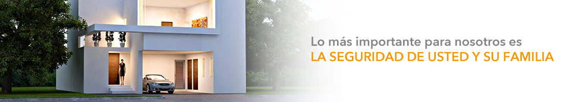 GSP Security Services / Nosotros